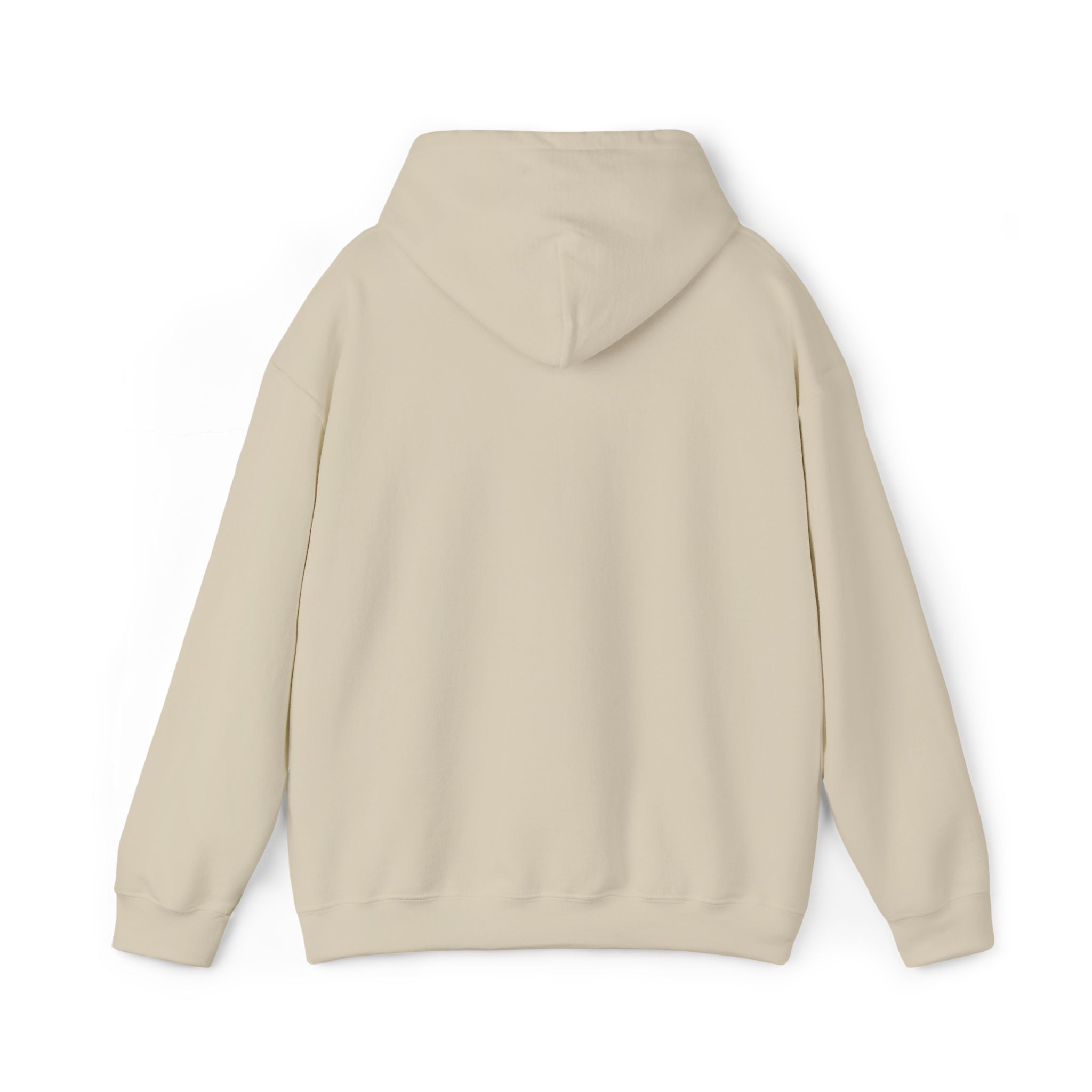 Aether Hoodie