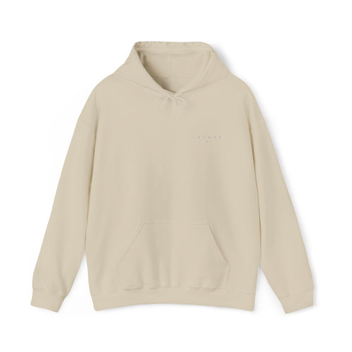 Aether Hoodie